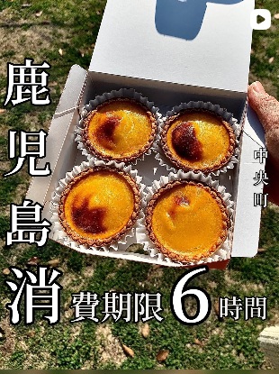 フェスティバロ 鹿児島中央駅店