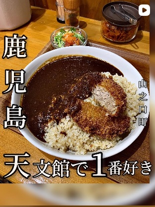 田中カレー